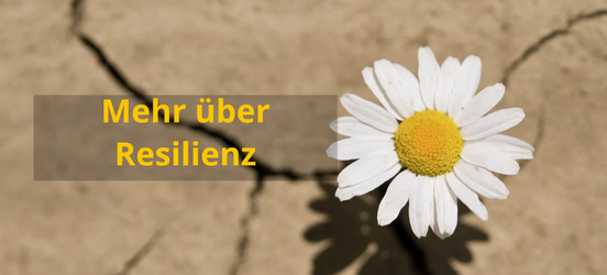 Resilienz
        